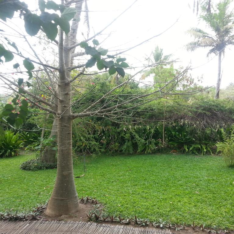 Palmeiras Lodge Vilanculos Extérieur photo